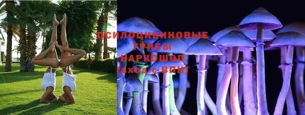 PSILOCYBIN Беломорск